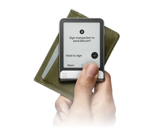 Ledger Flex Graphite
